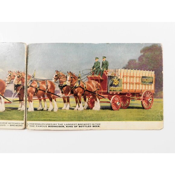 Budweiser Clydesdale Postcard Anheuser-Busch Fold-Out Vintage USA - Picture 3 of 5